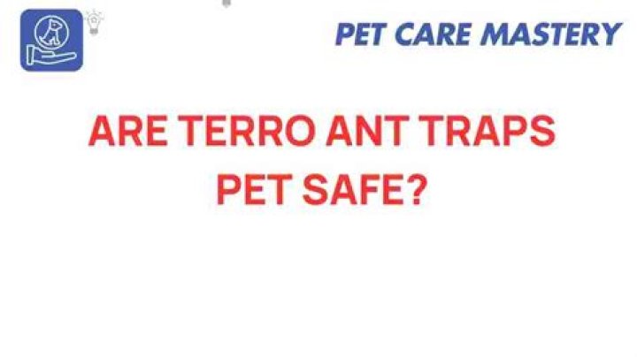 Are Terro ant traps safe for pets