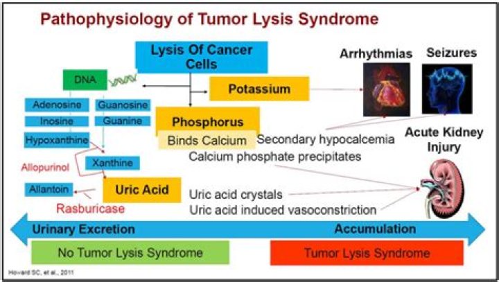How do you treat tumor lysis syndrome