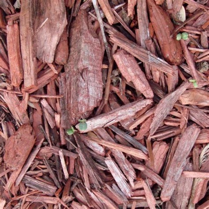 Is cedar or hardwood mulch better