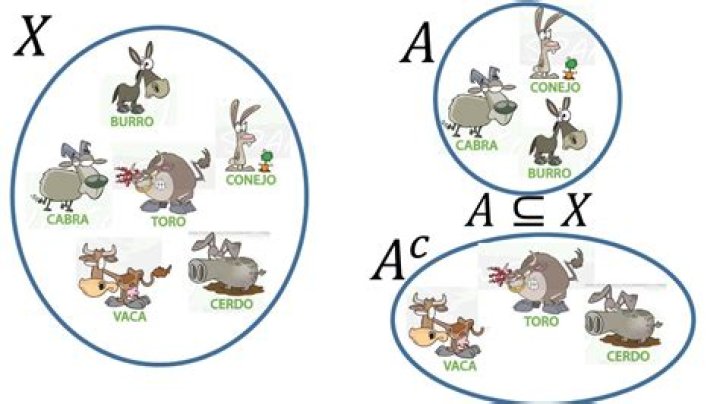 ¿Qué es el complemento ejemplos