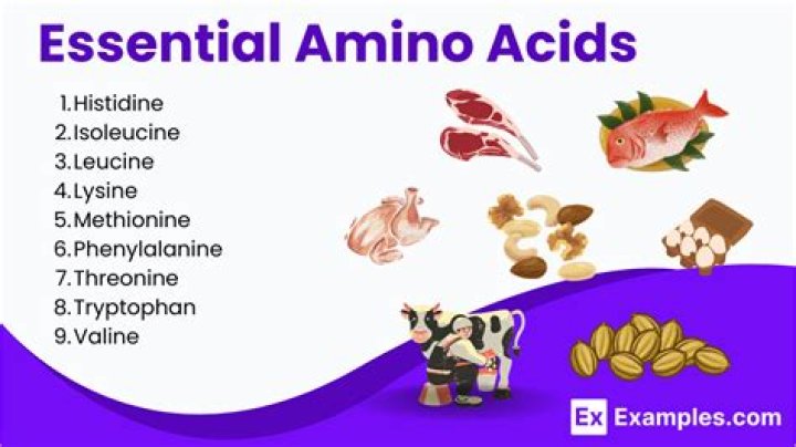 What amino acids are in protein