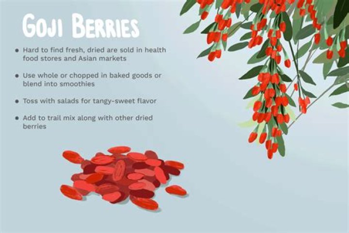 What animal eats goji berries