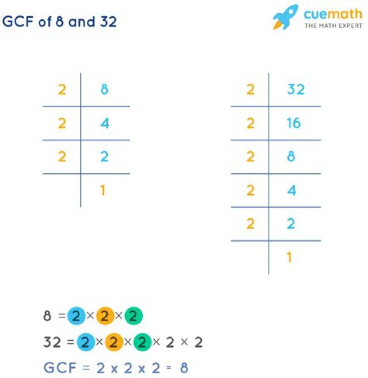 What are the common factors of 8 and 32