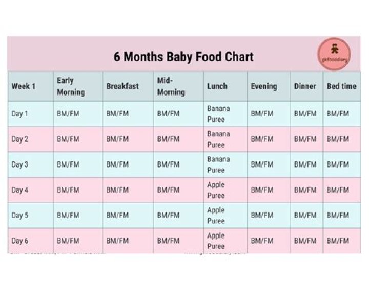 What can babies eat at 6 9 months