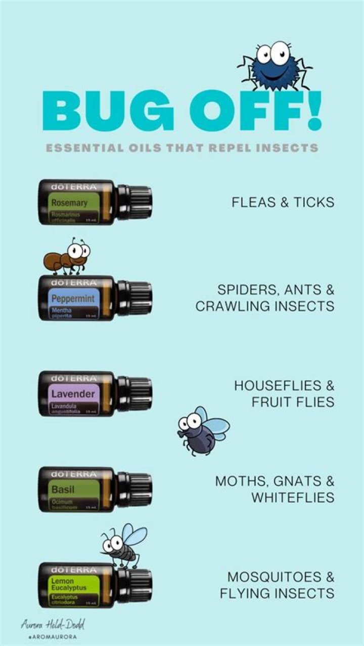 What essential oils are good for repelling bugs