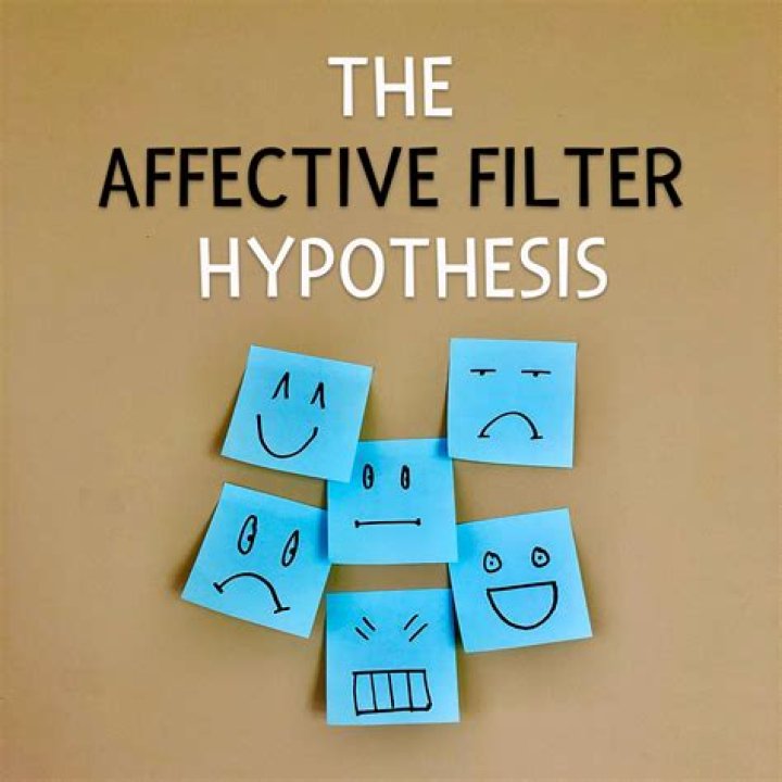 What is meant by affective filter