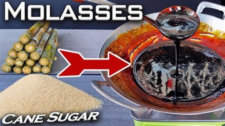 What is molasses made out of