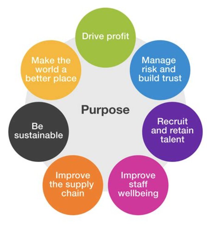 What is the purpose of the M-step