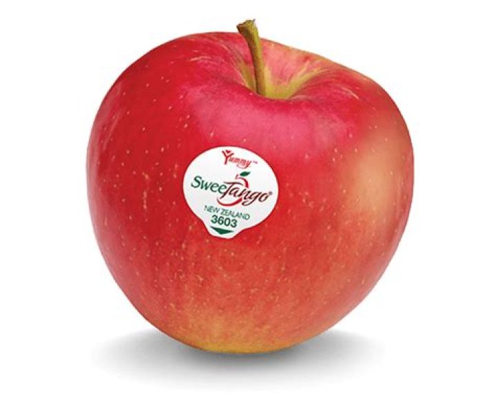 What kind of apple is a SweeTango