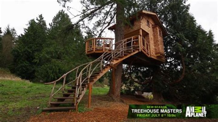 What station is Treehouse Masters on