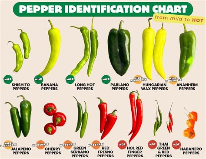 Which peppers have the most sugar