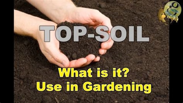 Why cant you use topsoil in pots