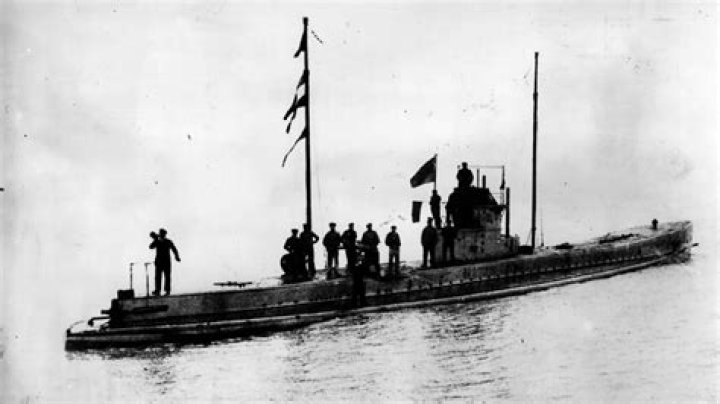 Why did Germany sink US ships